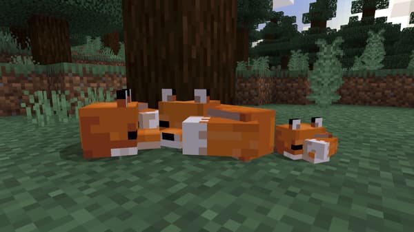 Sony PlayStation Minecraft - Starter Edition (PS4)