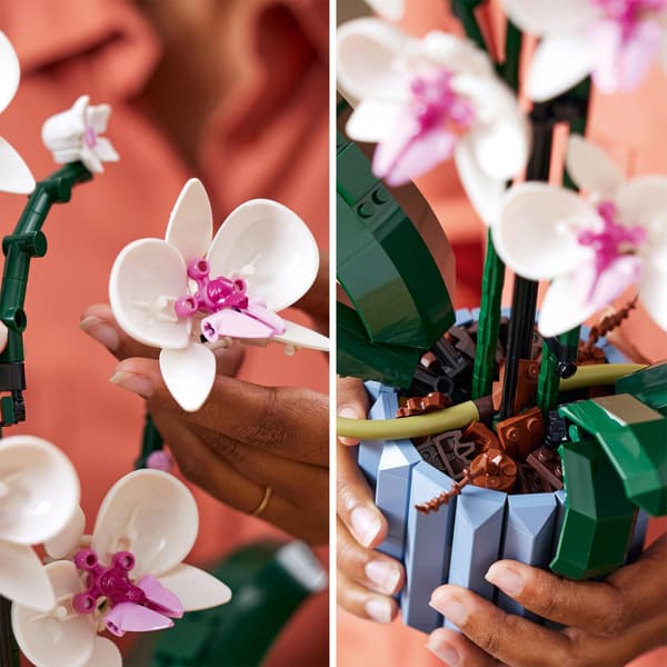 LEGO Botanical 10311 - Orkidé