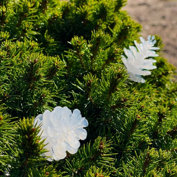 LightsOn Pine 10m lyskrans hvit glitrende kjegler