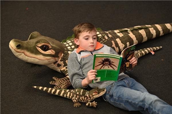 Wild Republic Medium alligator 51 cm