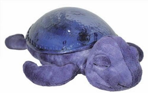 Cloud b Tranquil Turtle Ocean (CB7423-PR)