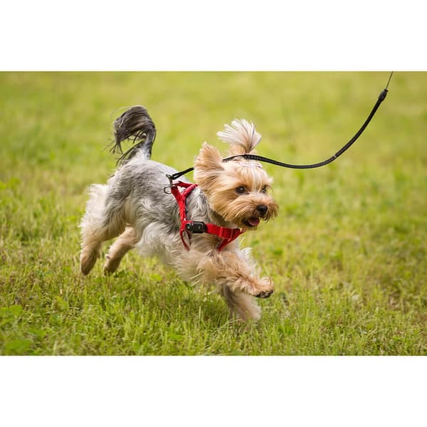 TICKLESS Flåttbeskyttelse Mini Hund Svart