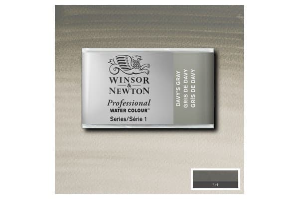 Prof Water Colour Pan/W Davys Gray 217
