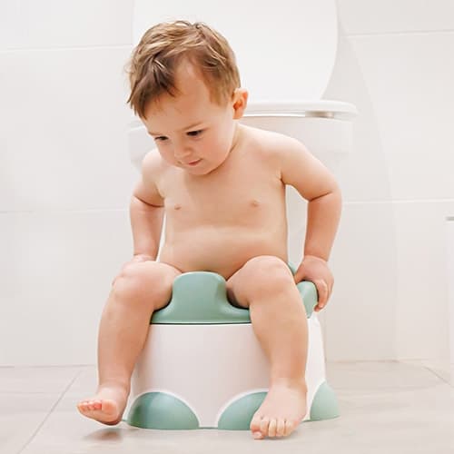 Bumbo Step N Potty - jakkarapotta, hemlock