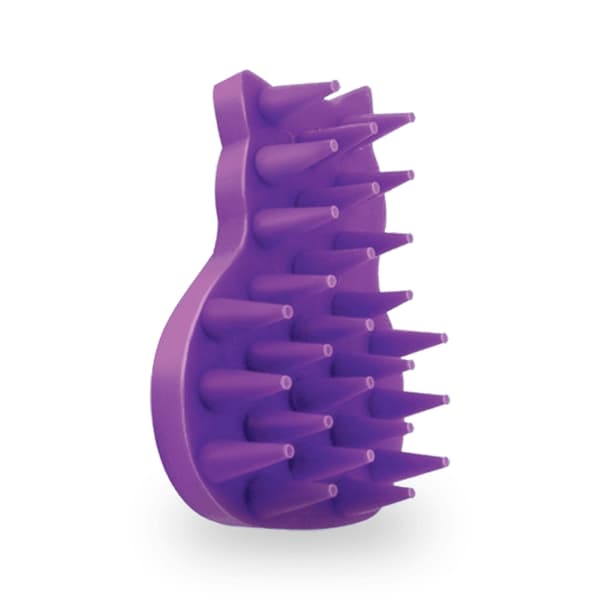 Kong Kong Kissa ZoomGroom