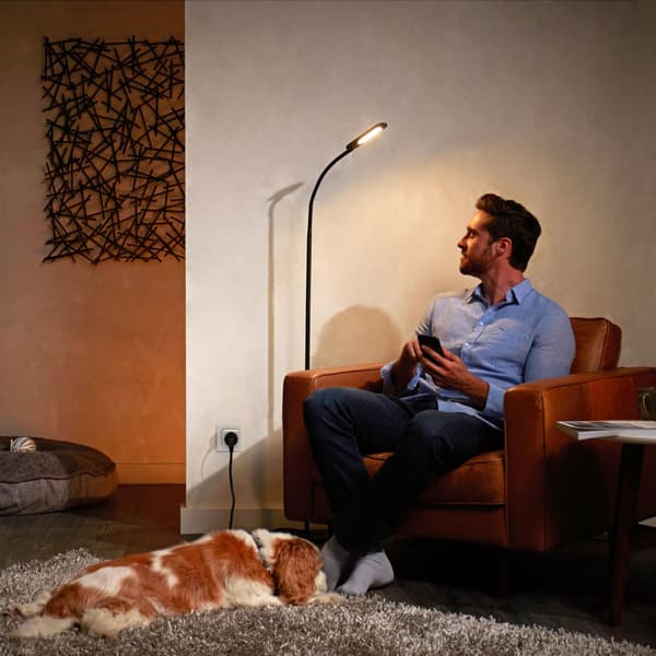 Philips Hue Smart-plugg