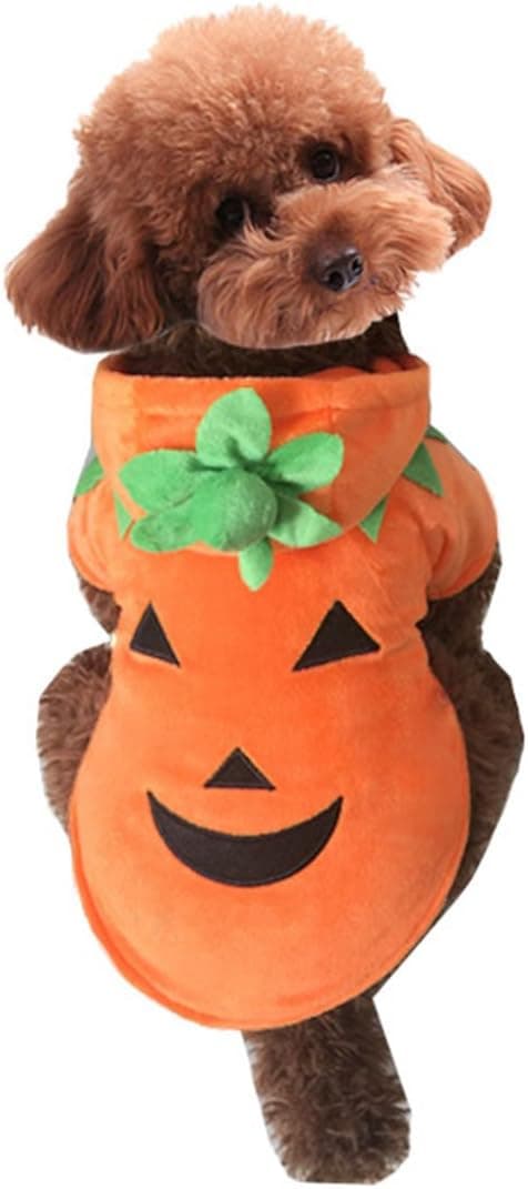 Halloween Græskar Hund Kat Kostume Kæledyr Rollespil Varm Uld Hættetrøje Efterår Vinter L