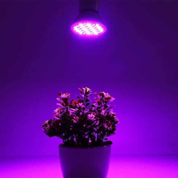 Vinter Rød og Blå Spektrum Plantegroe Lys E27 300 Perler