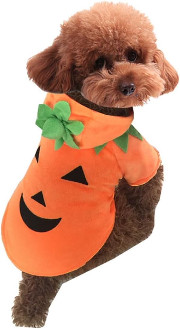 Halloween Græskar Hund Kat Kostume Kæledyr Rollespil Varm Uld Hættetrøje Efterår Vinter L