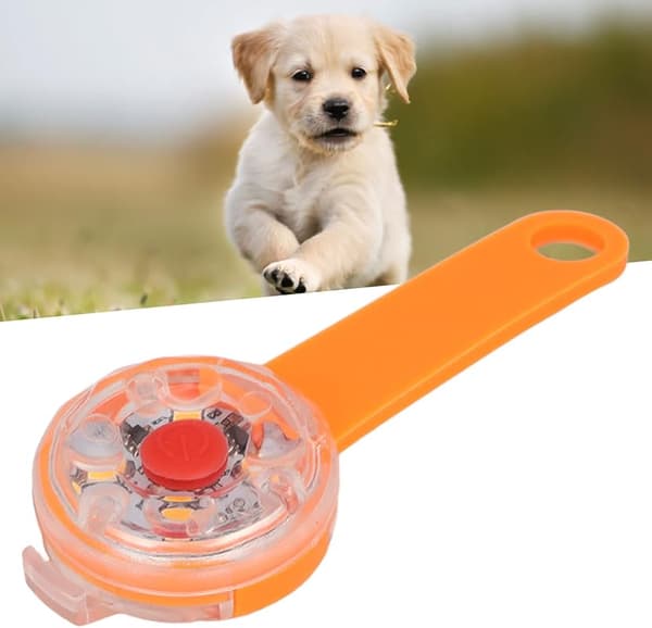 Koiran valo riipus ladattava WP Pet Safe - Oranssi