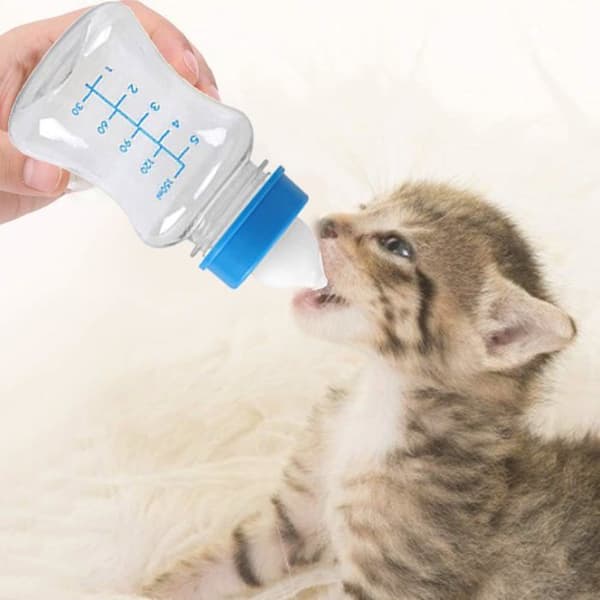 Hvalpeflasker, nyfødtflasker, killingeflasker, velegnet til nyfødte dyr, 150 ml