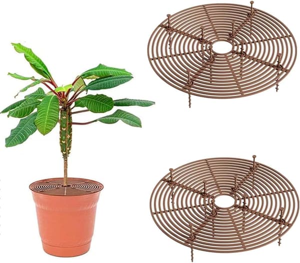 2-delat justerbart 30 cm växtskyddsnät och krukskydd - brun
