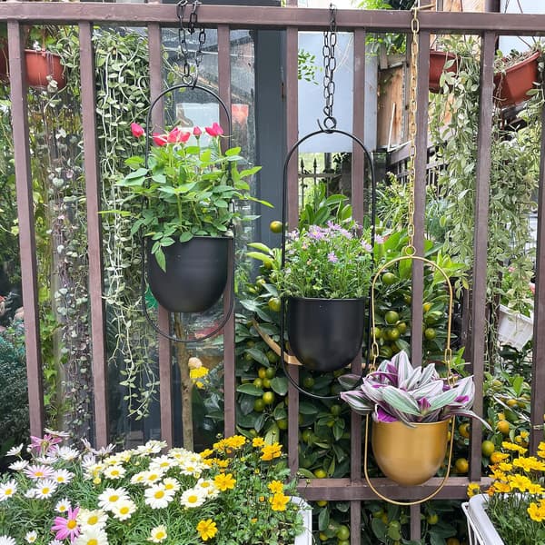 Sorte metal hængepotter til indendørs planter, sukkulenter, luftplanter