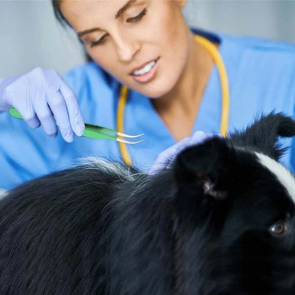 Flåtfjerner, flåtkroge, flåtfælder, flåtfælder til hunde og katte, fjernelse af flåter og lopper, grøn