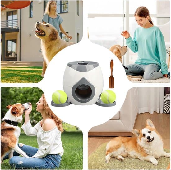Automatisk bollkastare för hund - Grå/Vit