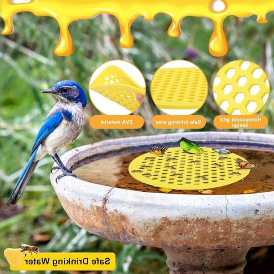 Insekt drikkekopper, bi-foderautomater, insektbade, bi-foder og pleje
