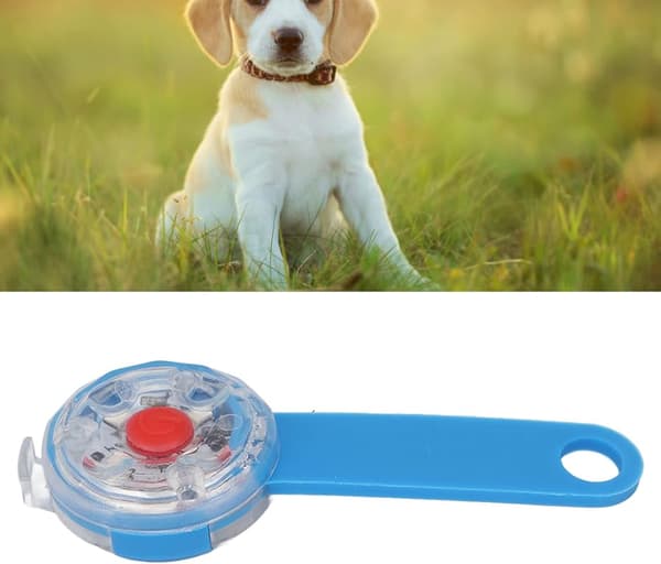 Koiran valo riipus ladattava WP Pet Safe - Sininen