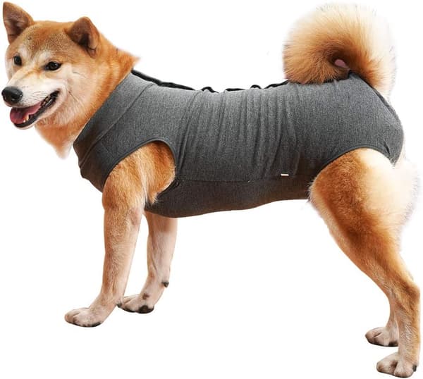 Beskyttelsesvest til hunde efter sterilisation, mod slikning af sår - Grå M