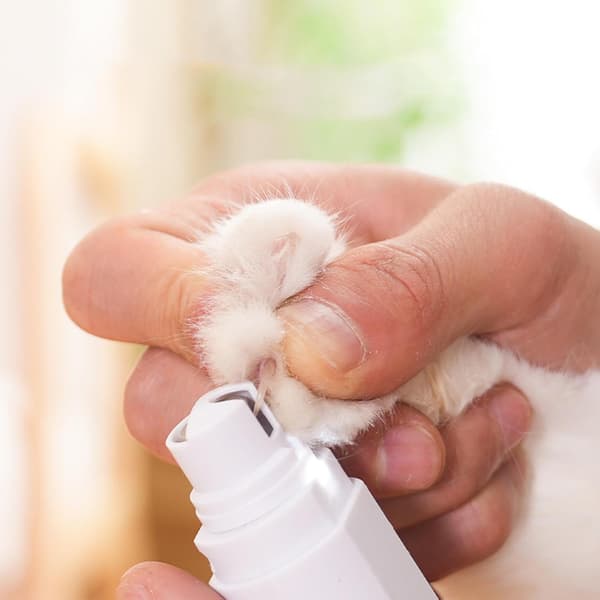 Kattnagelfil, LED-kattnagltrimmer - vit