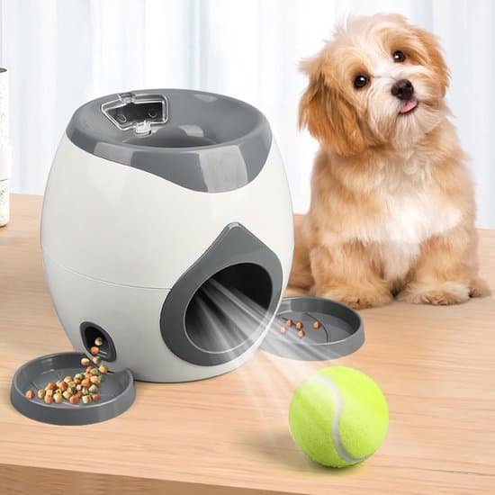 Automatisk bollkastare för hund - Grå/Vit