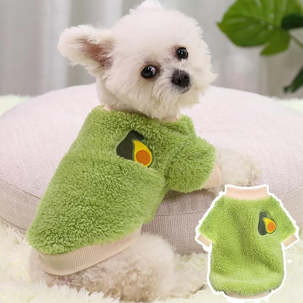 2-pack valptröja set liten flicka hund varm vinterull söt tjock XS