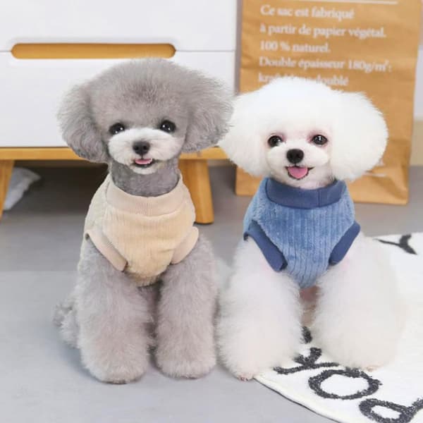 Hundeoutfit sæt, velegnet til katte og hunde (blå + khaki)