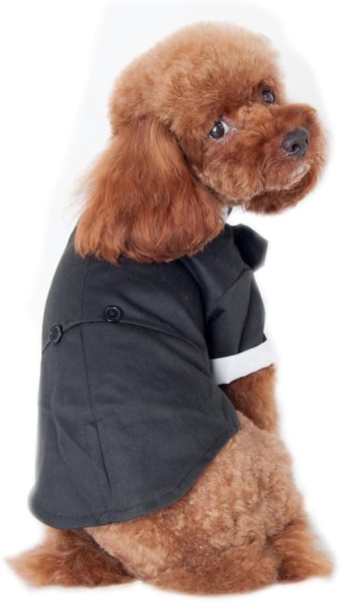 Svart hundsmoking, valpbröllopsklänning, hundkläder (L)