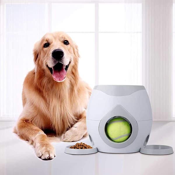 Hundeboldkaster, automatisk tennisboldkaster (farve: grå)
