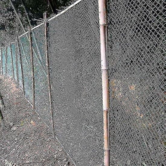 Fuglenet til haver og afgrøder - 5x10 meter