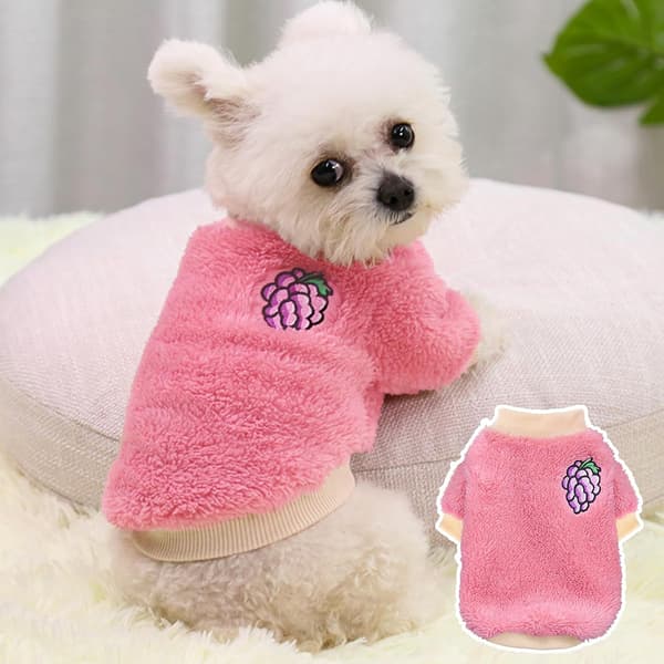2-pack valptröja set liten flicka hund varm vinterull söt tjock XS