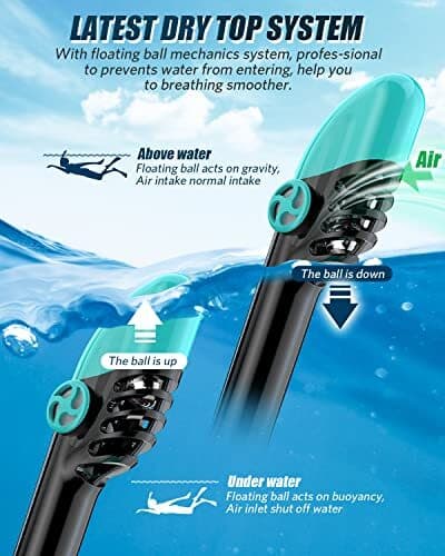 Full-Face Snorkel Mask Snorkeling L/XL Sort Grøn