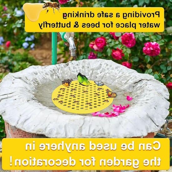 Insekt drikkekopper, bi-foderautomater, insektbade, bi-foder og pleje
