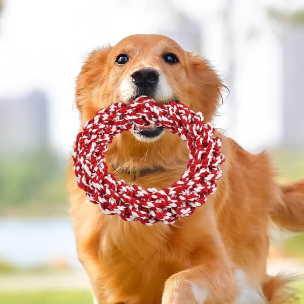 Hundleksaker i rep, tuggrepsleksak för hund – hundleksaker för tandrengöring
