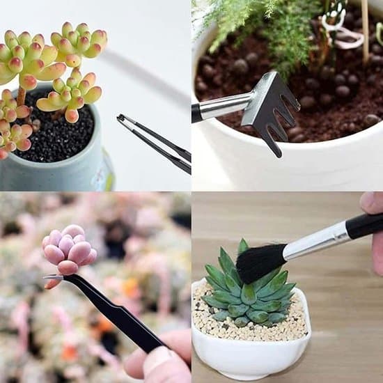 13-dele indendørs mini sukkulent- og planteplejesæt med tilbehør til omplantning