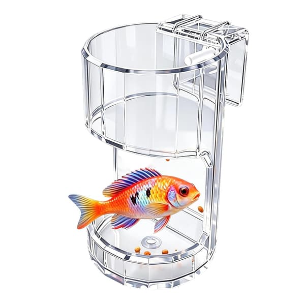 Fiskmatningslåda transparent matdispenser