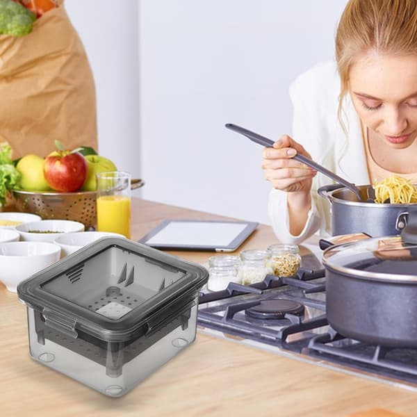 2-pack Tofupress Ostpress Diskmaskin Vegan Juicer