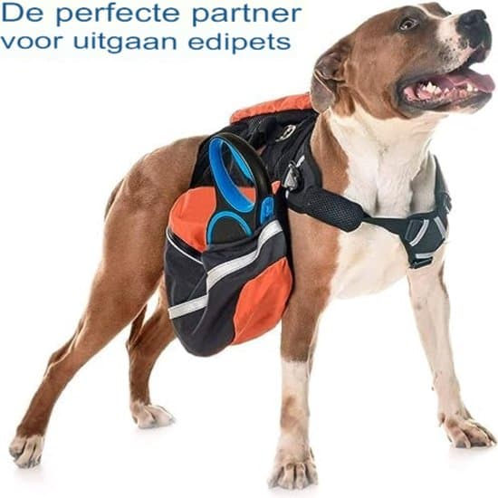 8 meter hundkoppel - Elastiskt hundkoppel - Infällbart hundkoppel