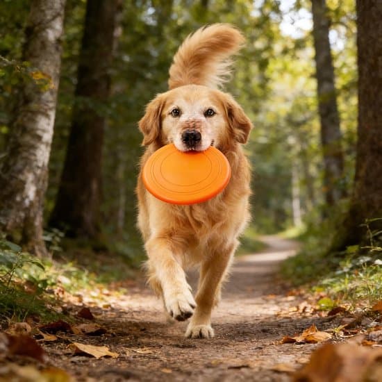 7-delt sæt holdbare bløde gummi flydende hundefrisbees til apport og træning (store hunde)