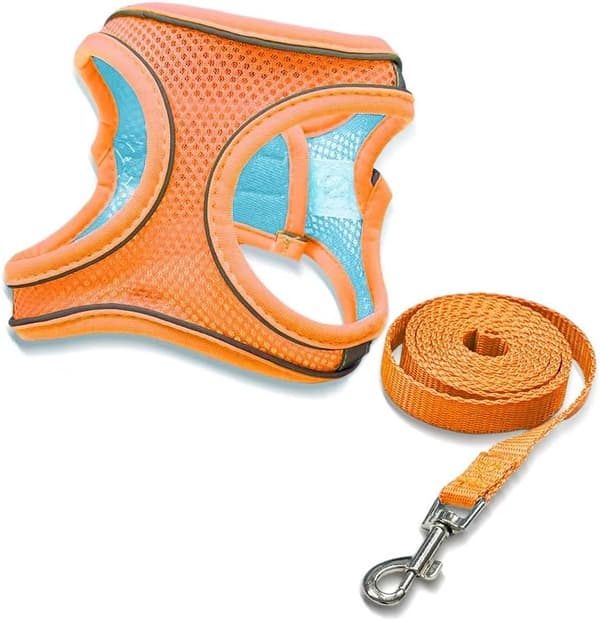 Snorvest til kæledyr - Orange - Brystomkreds 28-32cm