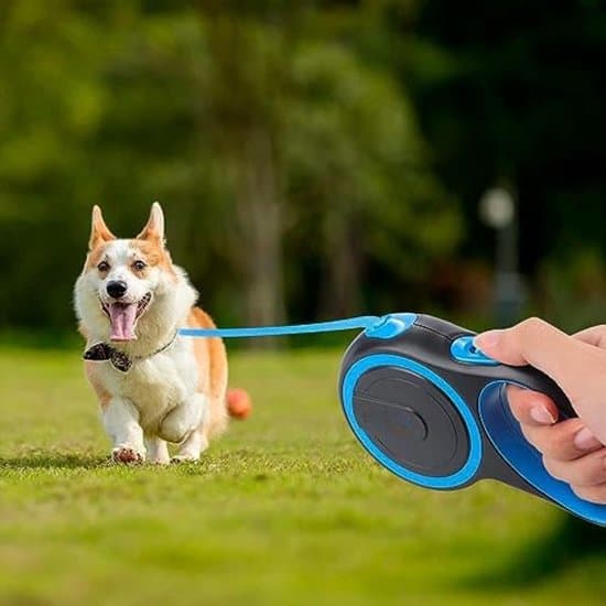 8-meter hundesnor - Elastisk hundesnor - Udtrækkelig hundesnor