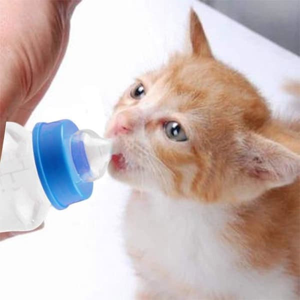 Valpflaskor, nyfödda flaskor, kattungeflaskor, lämpliga för nyfödda djur, 150 ml