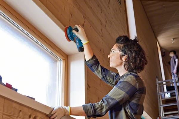 BOSCH sladdlös excenterslip GEX 12V-125 Professional