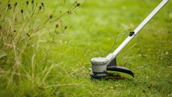 Bosch akku-græstrimmer AdvancedGrassCut 36V-33 06008C1K00