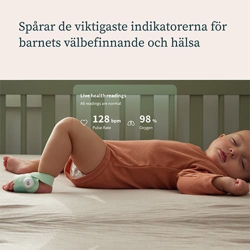 Babylarm Owlet Dream Sock