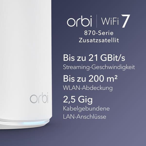 Netgear RBE870-100EUS Router