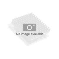 Cisco UCS-CPU-E5-2620 Server Tilbehør