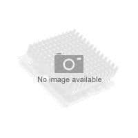 Intel Xeon E7-4870 processor - 2.4 GHz - 10 kerner - LGA1567 - HP