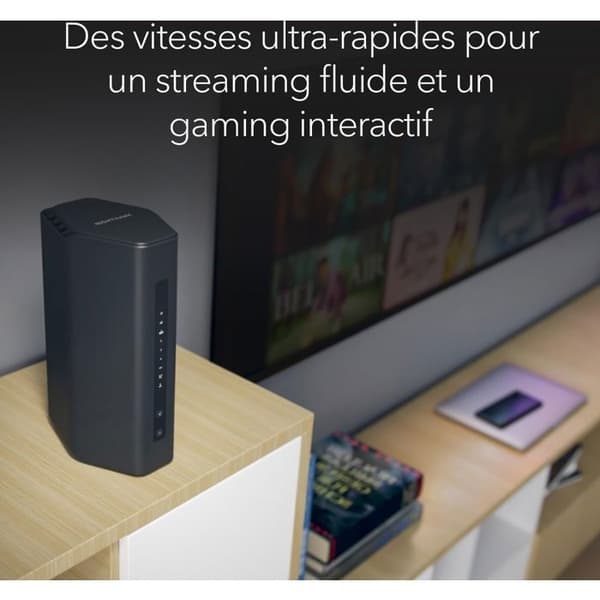 NETGEAR Produktmodell: 3P