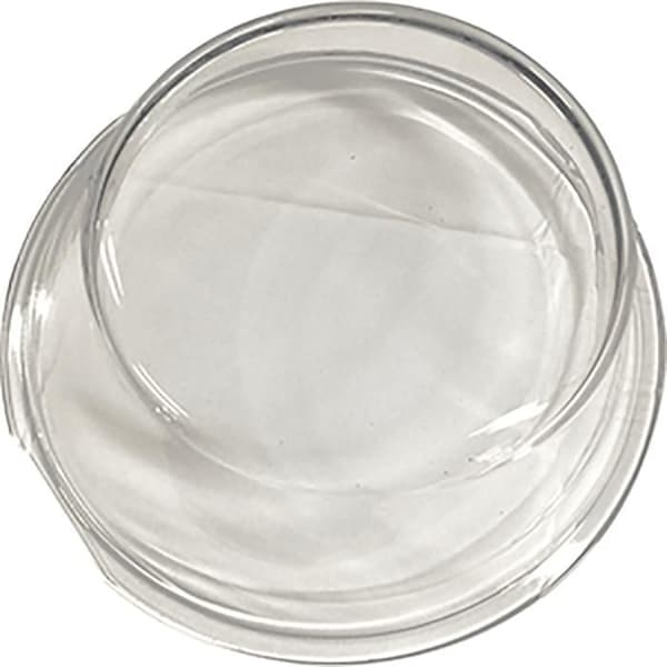 Fönsterglas 310 M/m