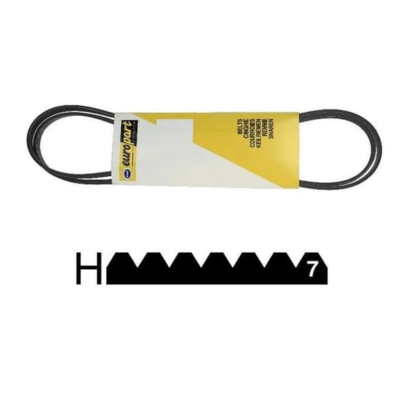 Rem 1895 H7 Mael Poly V
